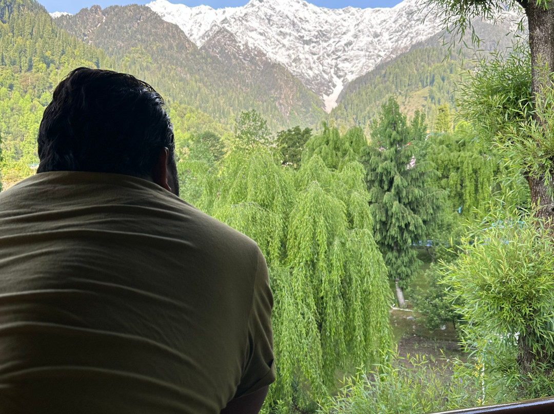 Solang Valley Resort主图