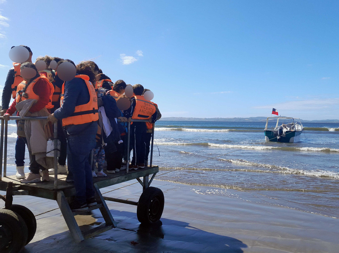 Ecoturismo Punihuil-Ancud必去景点