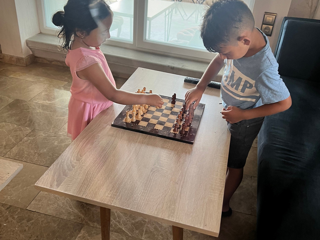 Blackmoon Villa Edirne主图