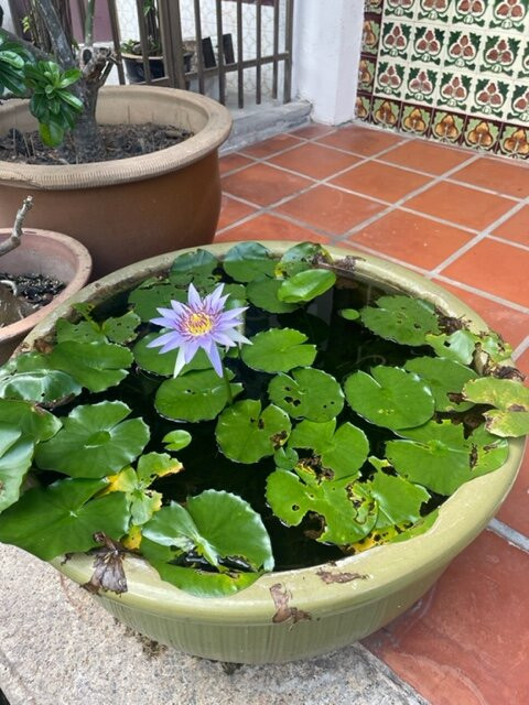 贝特尔纳特旅馆主图