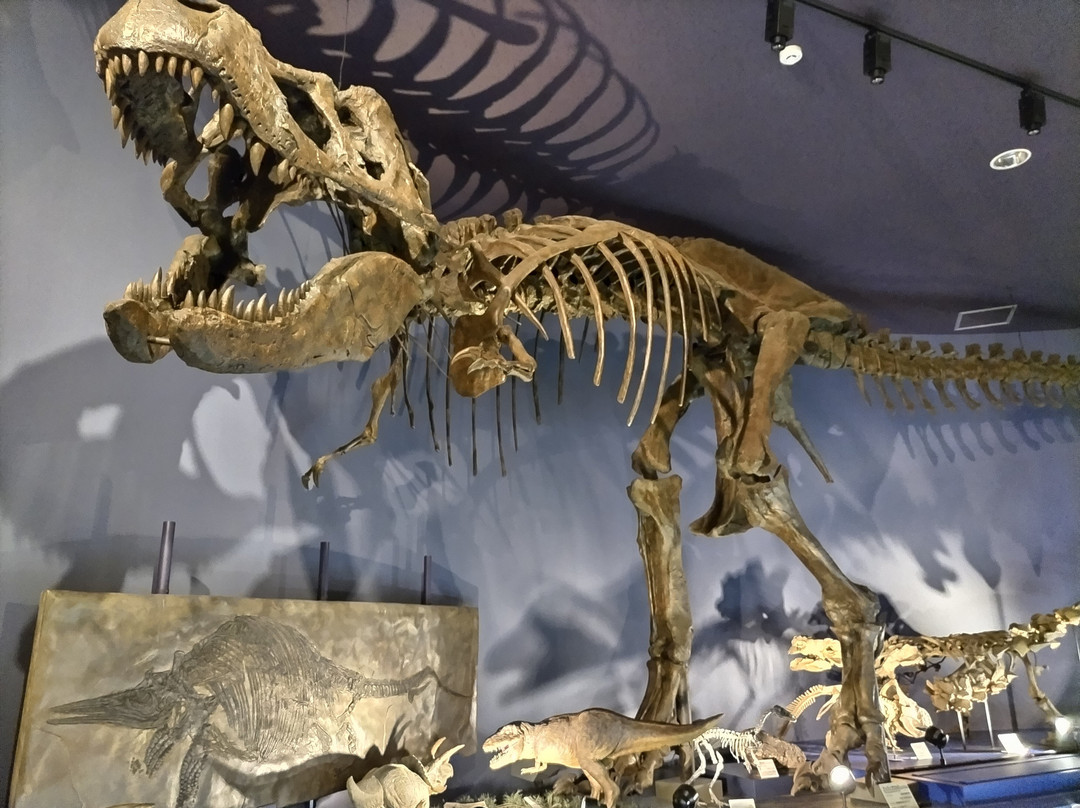 Miyazaki Prefectural Museum of Nature and History-宫崎市必去景点