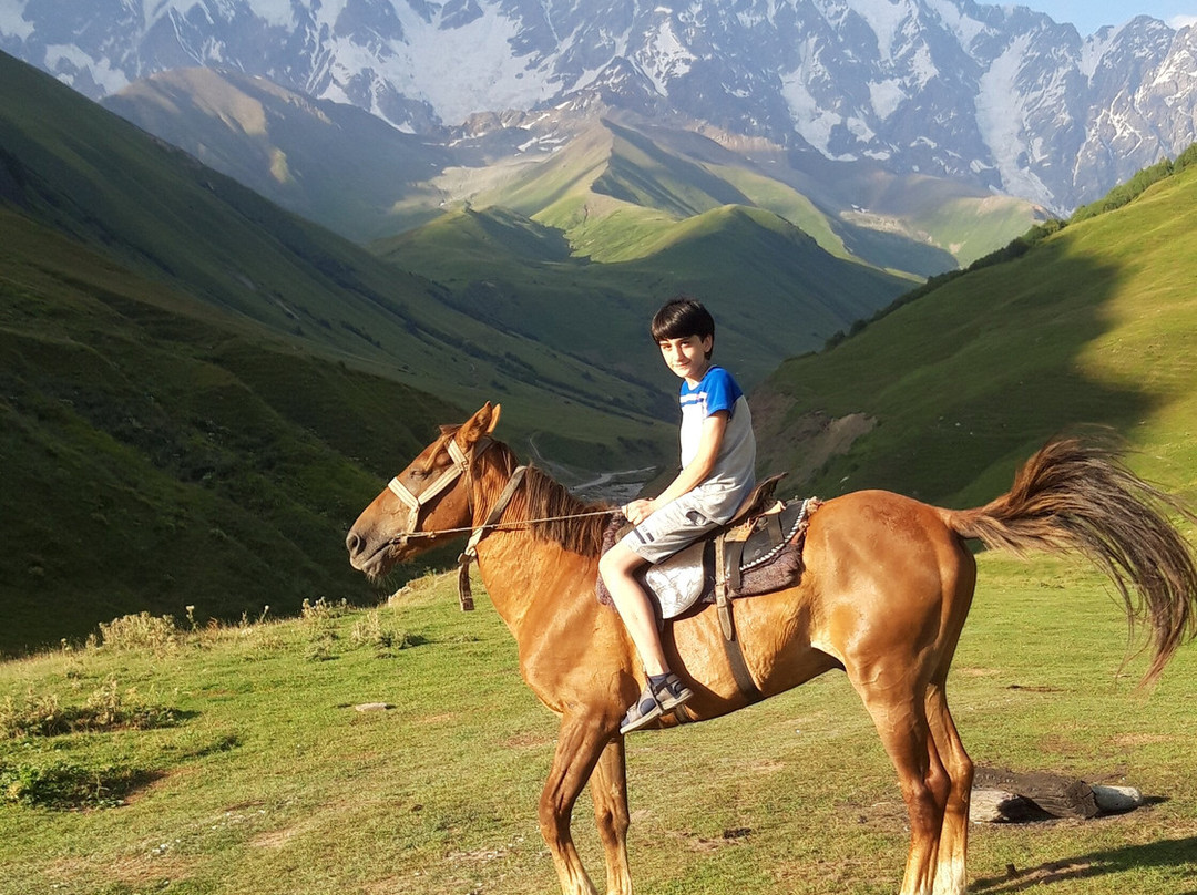Horse rentals and tours in Ushguli景点图片