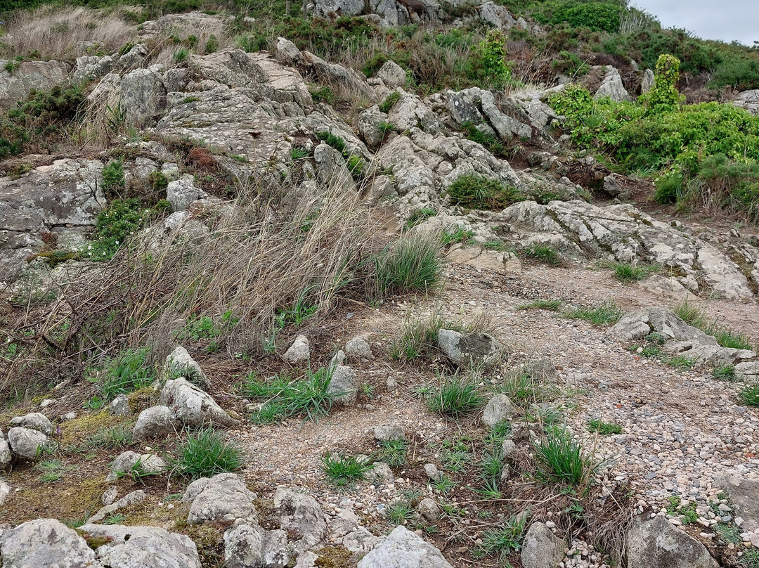 Pointe de Bihit景点图片