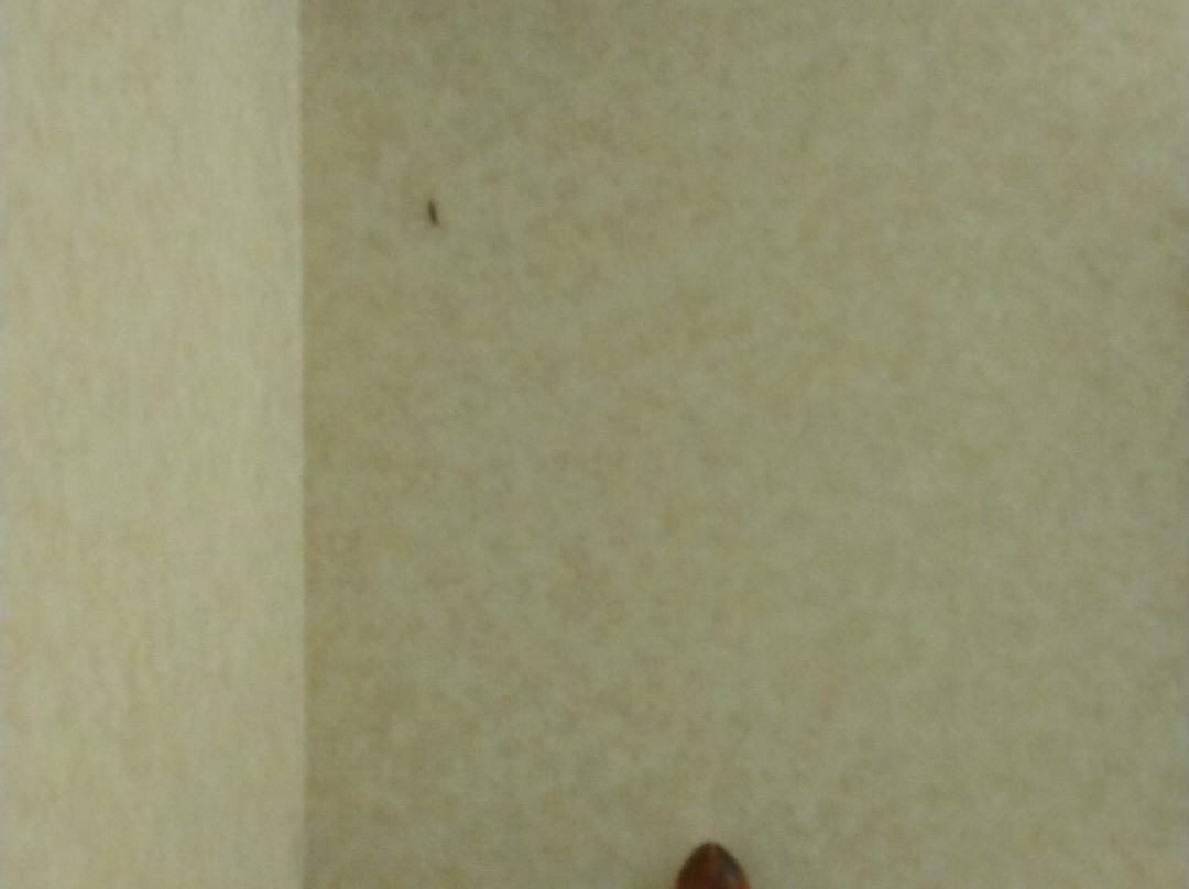 米尔斯特姆乡村汽车旅馆主图