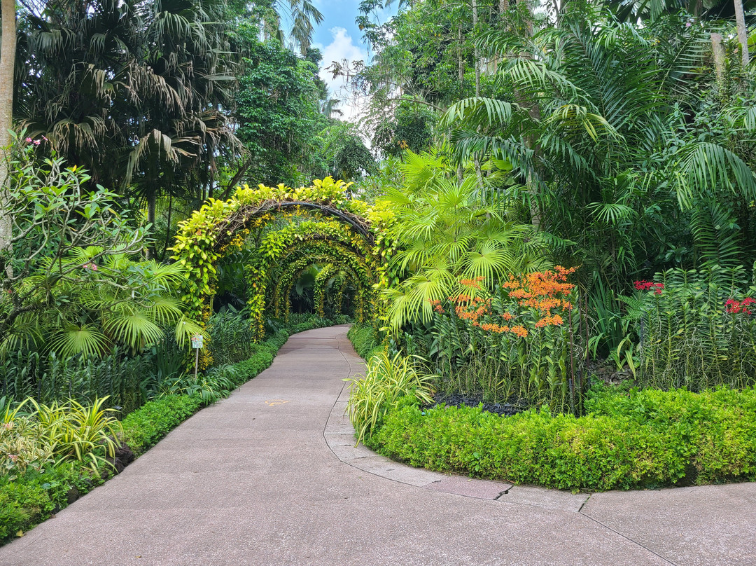 东莞植物园全面开放迎双节 兰花园、岩石园升级改造惊喜连连