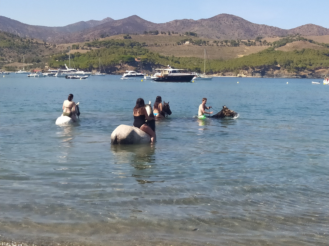 Centre Hipica Mas Batllo-Vilallonga de Ter必去景点