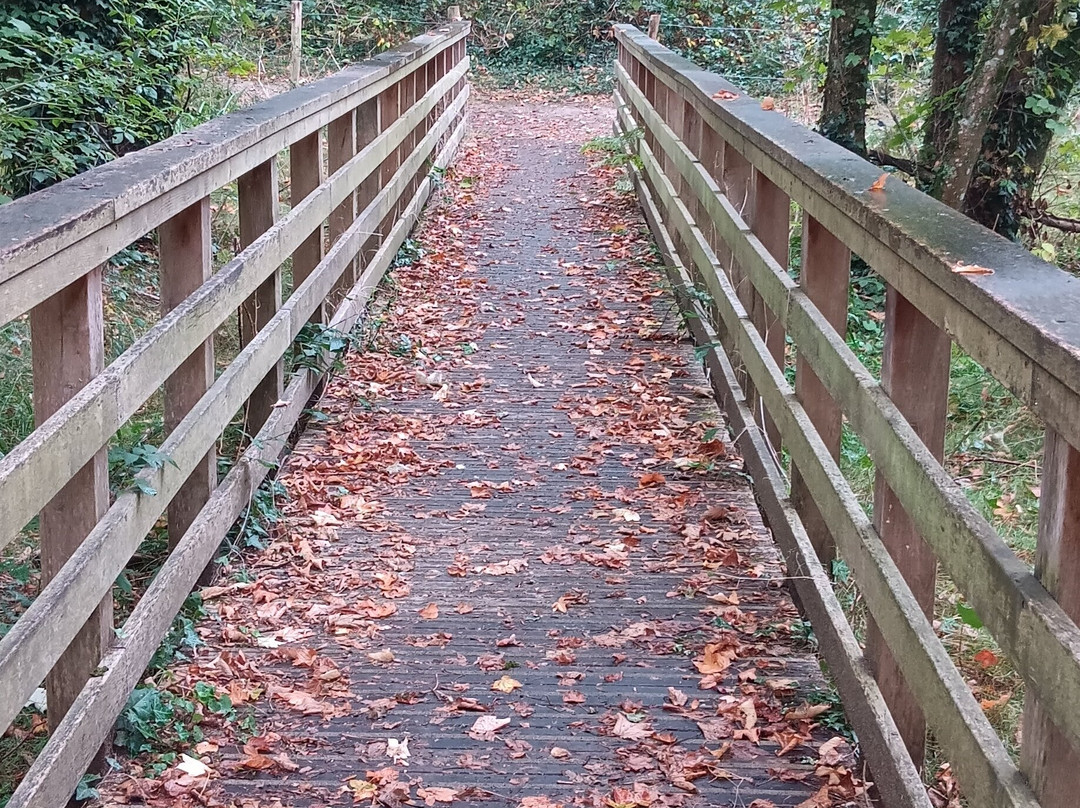 La Garenne De La Moine-Getigne必去景点