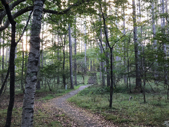 Yatsugatake Kogen Lodge主图