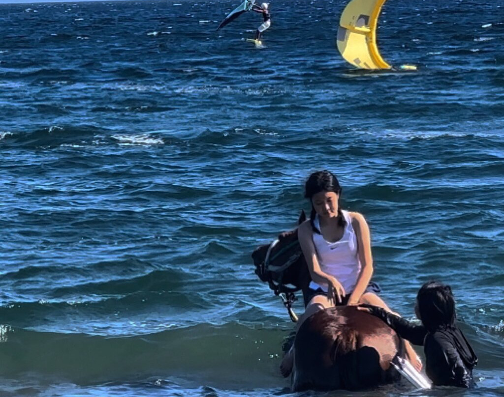 Horse Trekking Farm Miurakaigan-三浦市必去景点