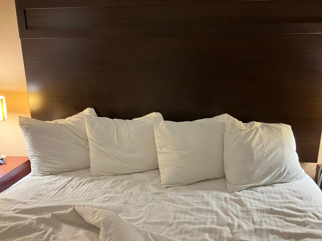 贝林翰伊克诺旅馆&套房酒店