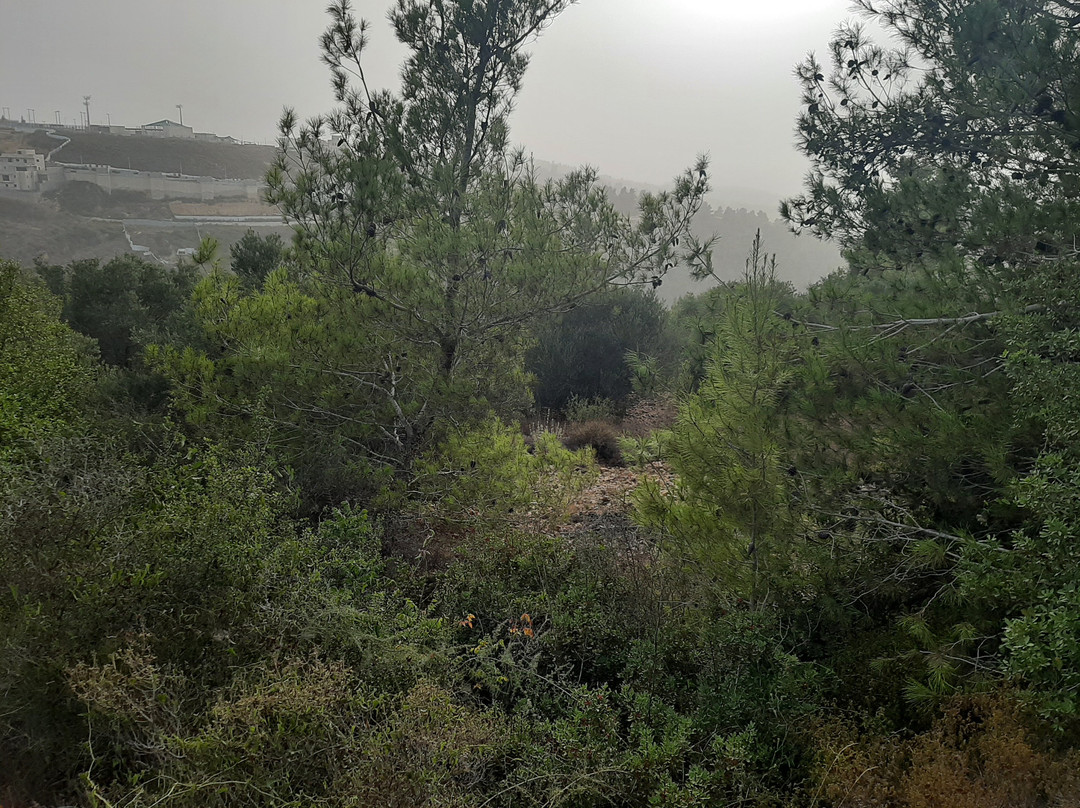 Saxum Visitor Center-Abu Ghosh必去景点