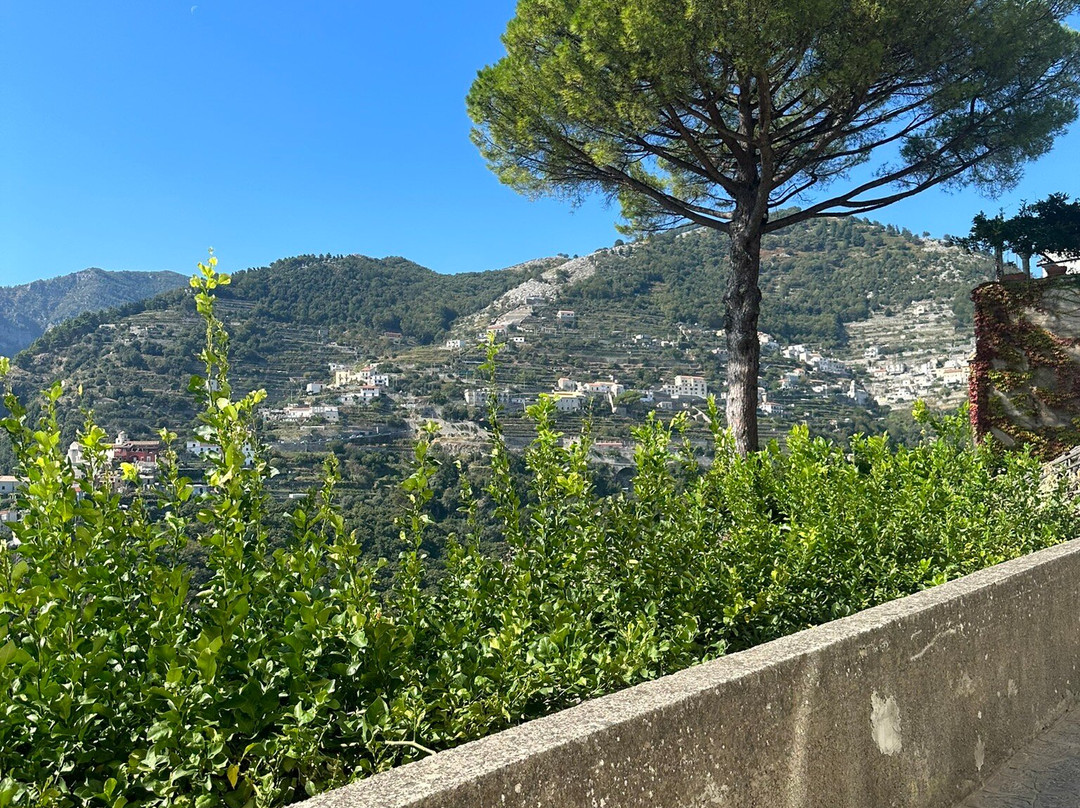 Wine Tour Amalfi Coast-阿马尔菲必去景点