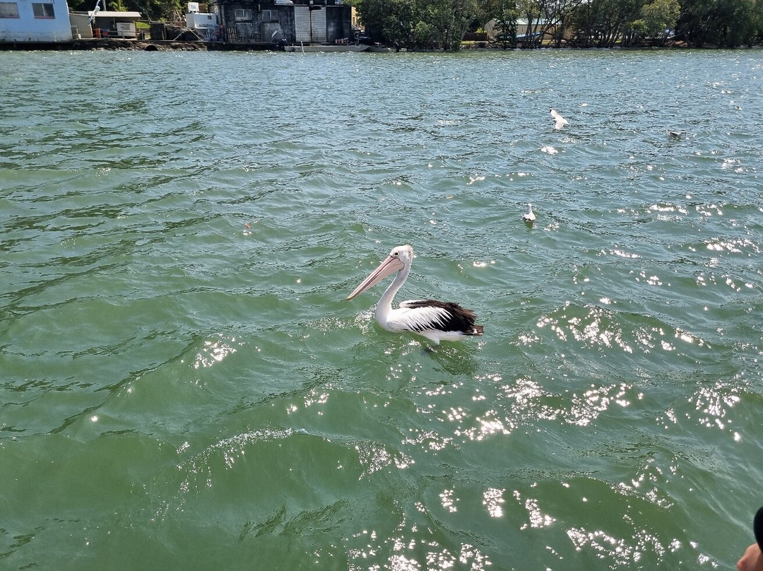 Catch a Crab-堤维德岬必去景点