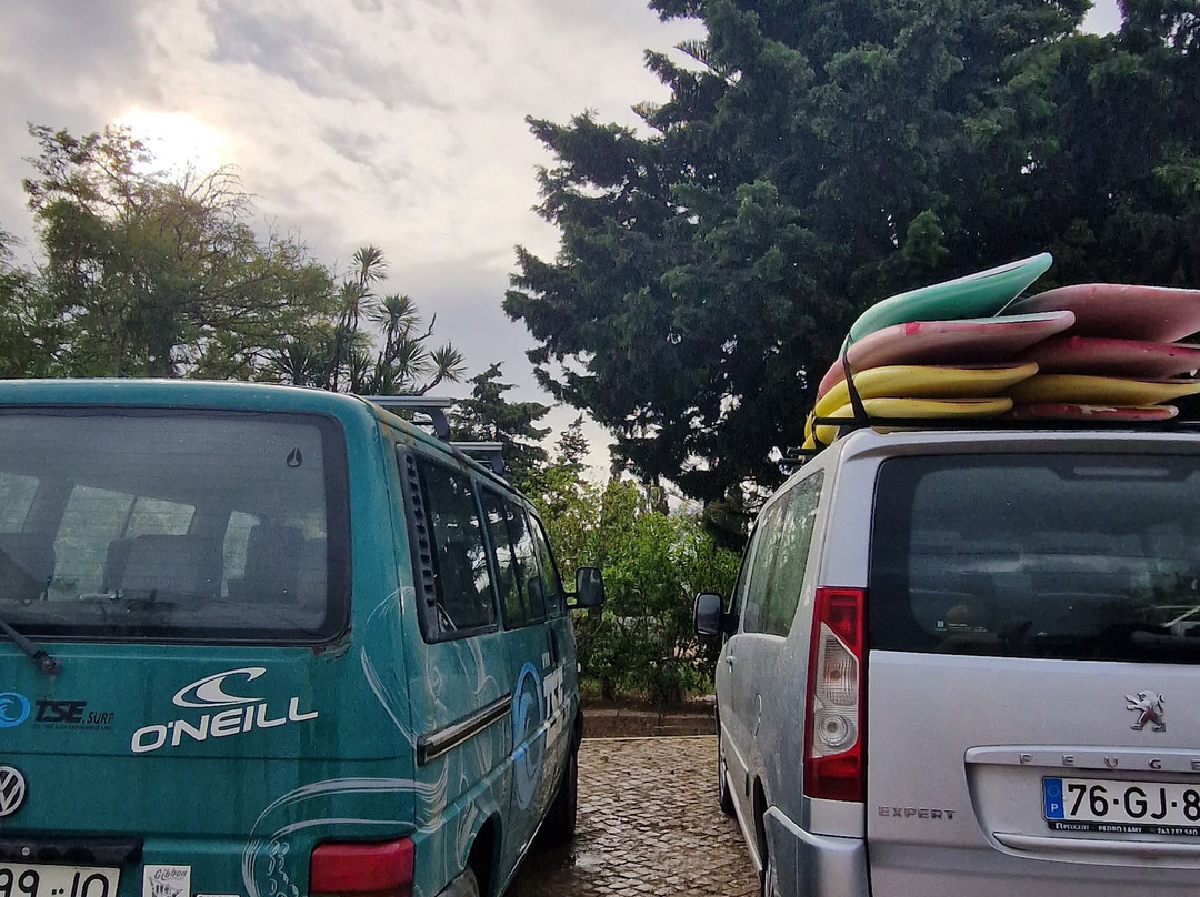 TSE The Surf Experience景点图片