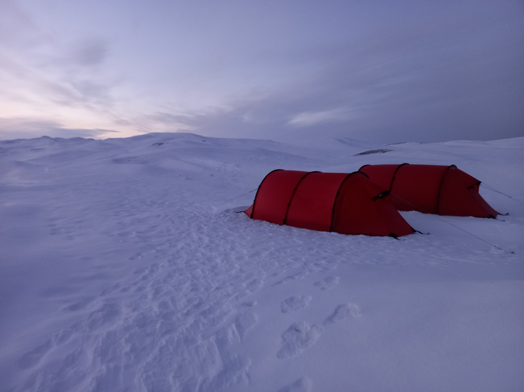 Albatros Arctic Circle-格陵兰岛康克鲁斯瓦格镇必去景点