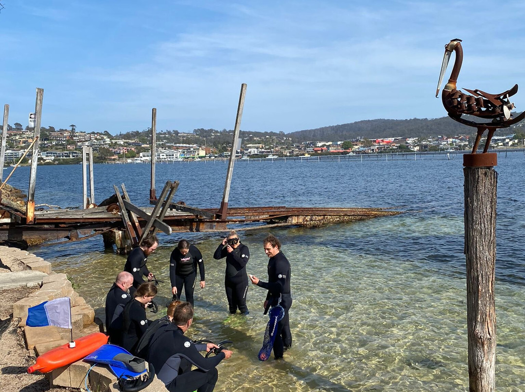 Australia's Coastal Wilderness Adventures-伊登港必去景点