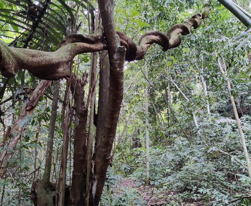 Taksin Maharat National Park-湄索必去景点