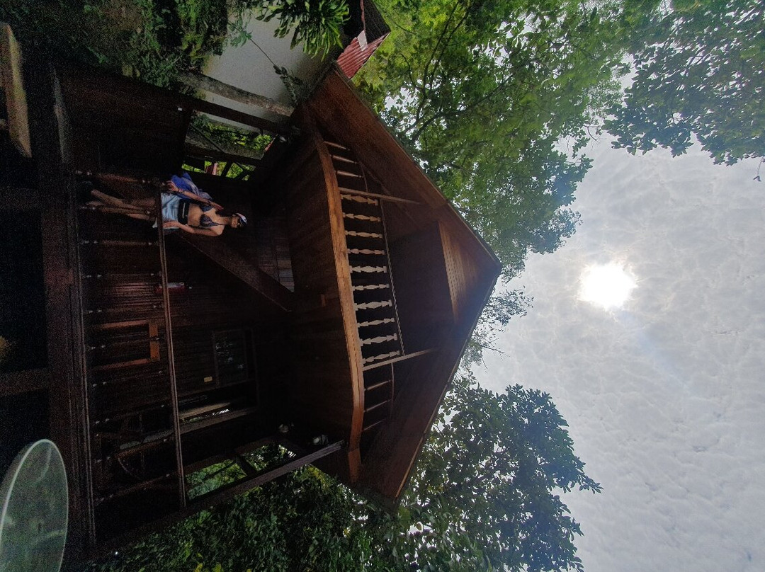 Hotel Green Paradise主图