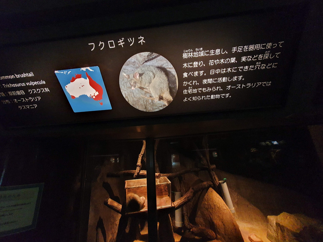 Tama Zoological Park-日野市必去景点