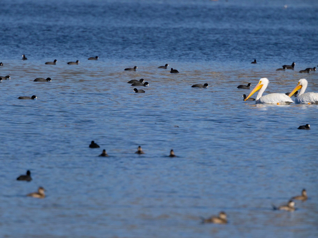 Frank G. Bonelli Regional Park-圣迪马斯必去景点