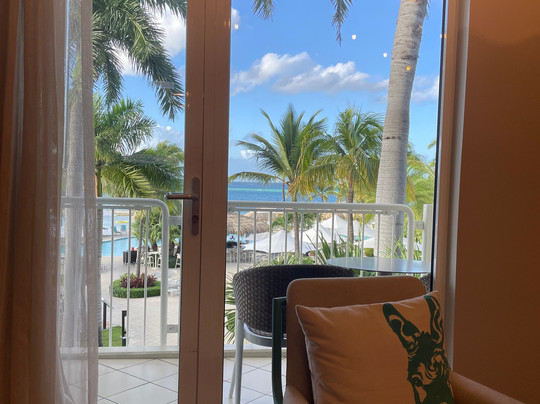 阿鲁巴岛万丽度假酒店及娱乐场主图