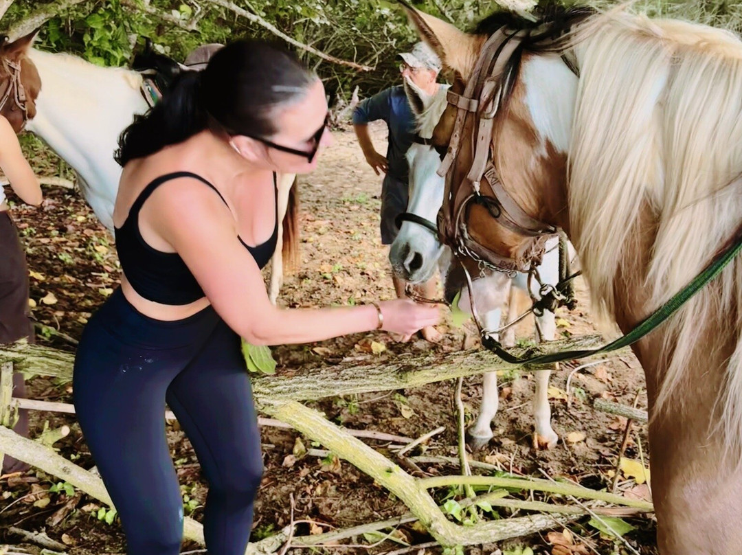 Tropical Trail Rides - Isabela-Isabela必去景点