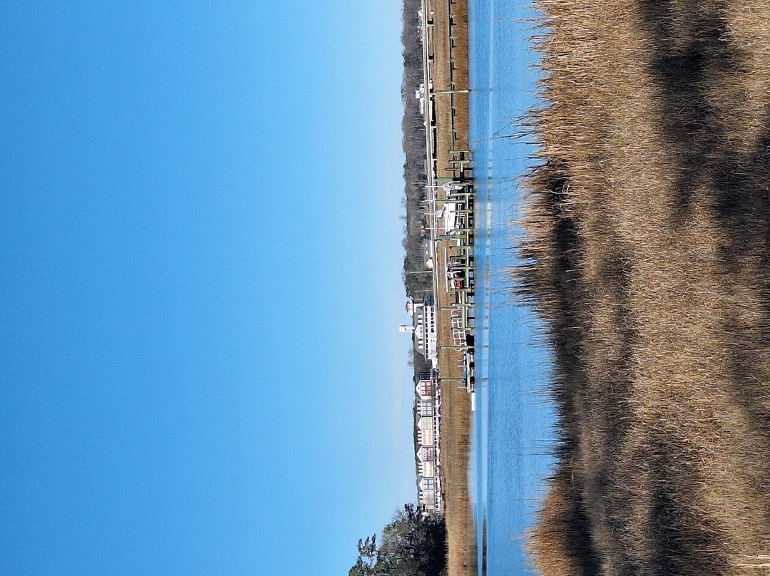 Windsor Castle Park-Smithfield必去景点