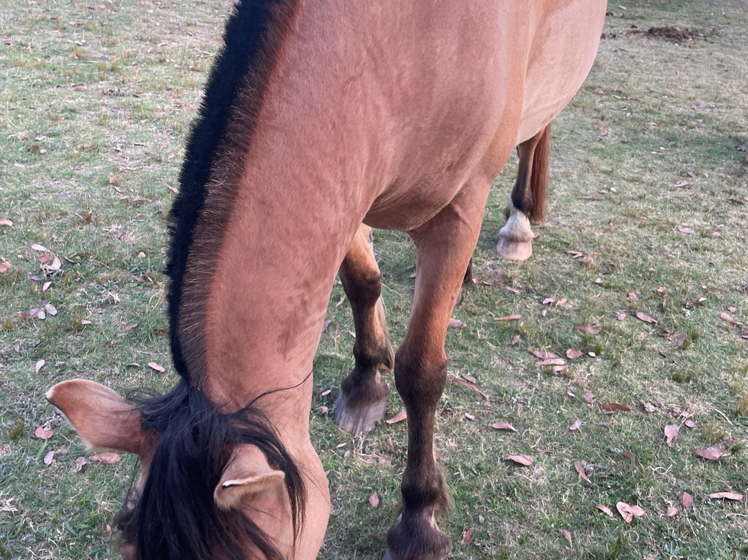 Anastasio Beach Resort主图