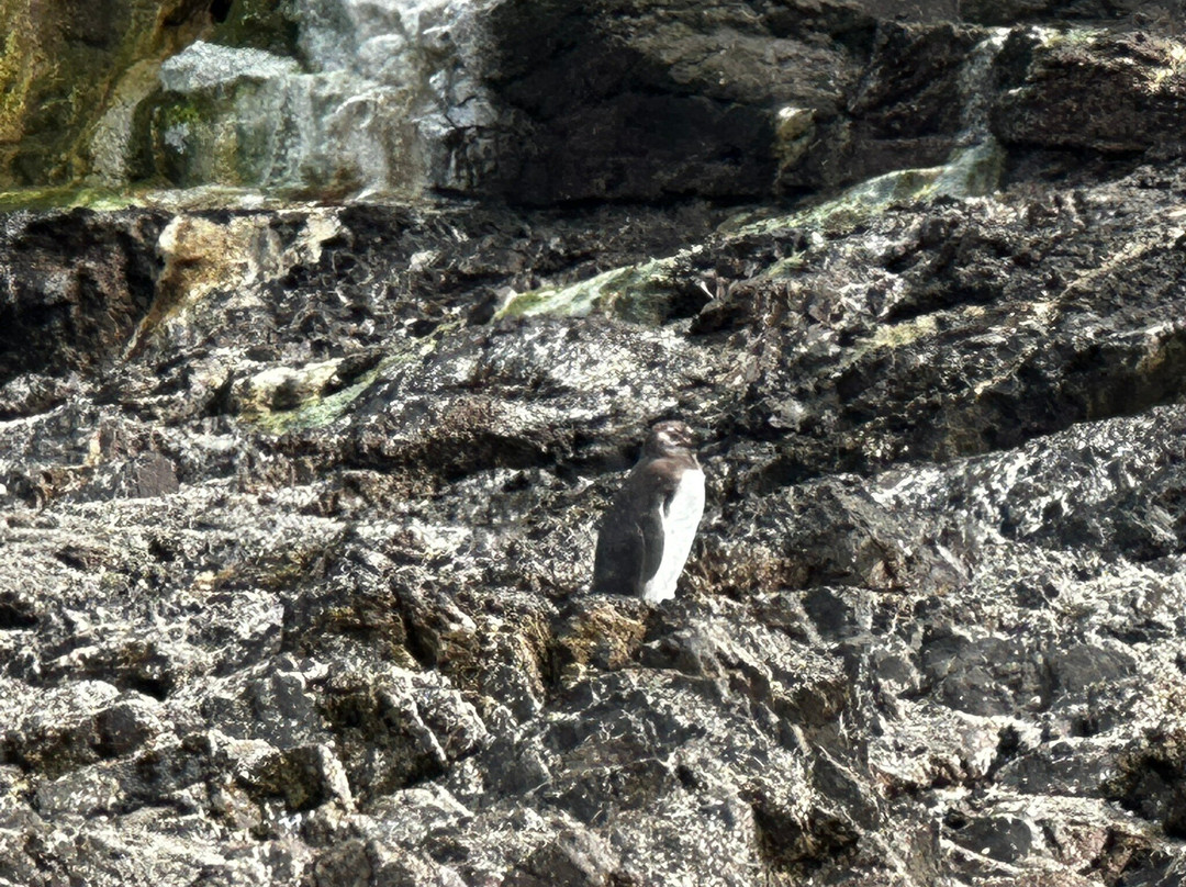 MH Travel & Guide-巴拉斯港必去景点