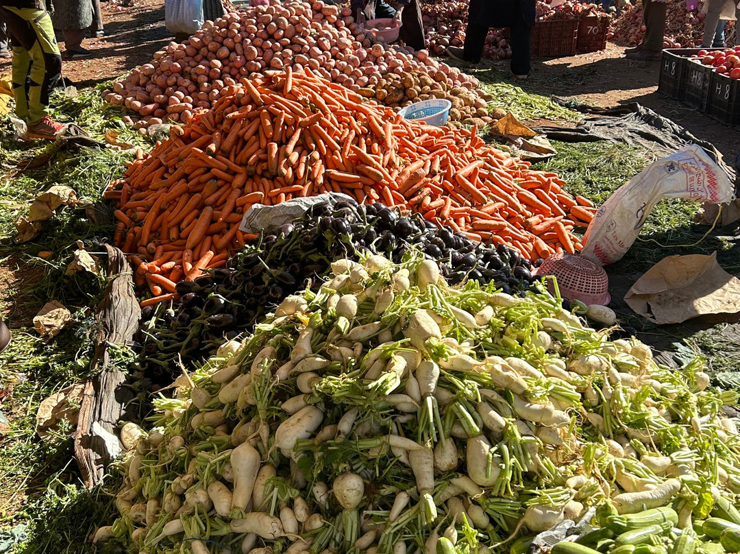 Morocco Atlas Activities-Ourika必去景点