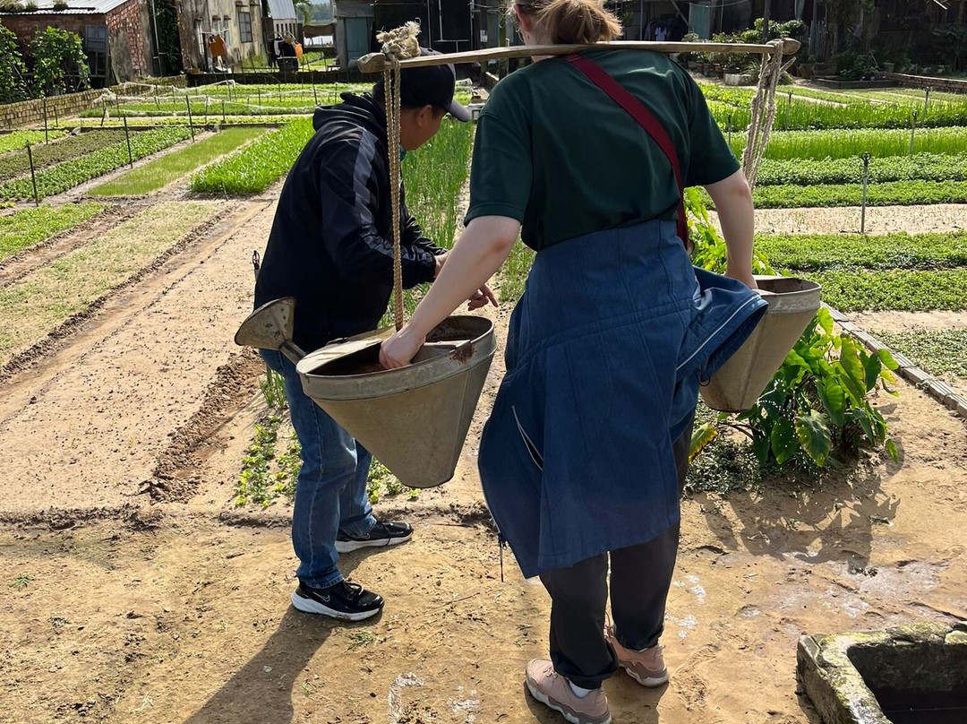 SUNRISE TOUR-会安必去景点