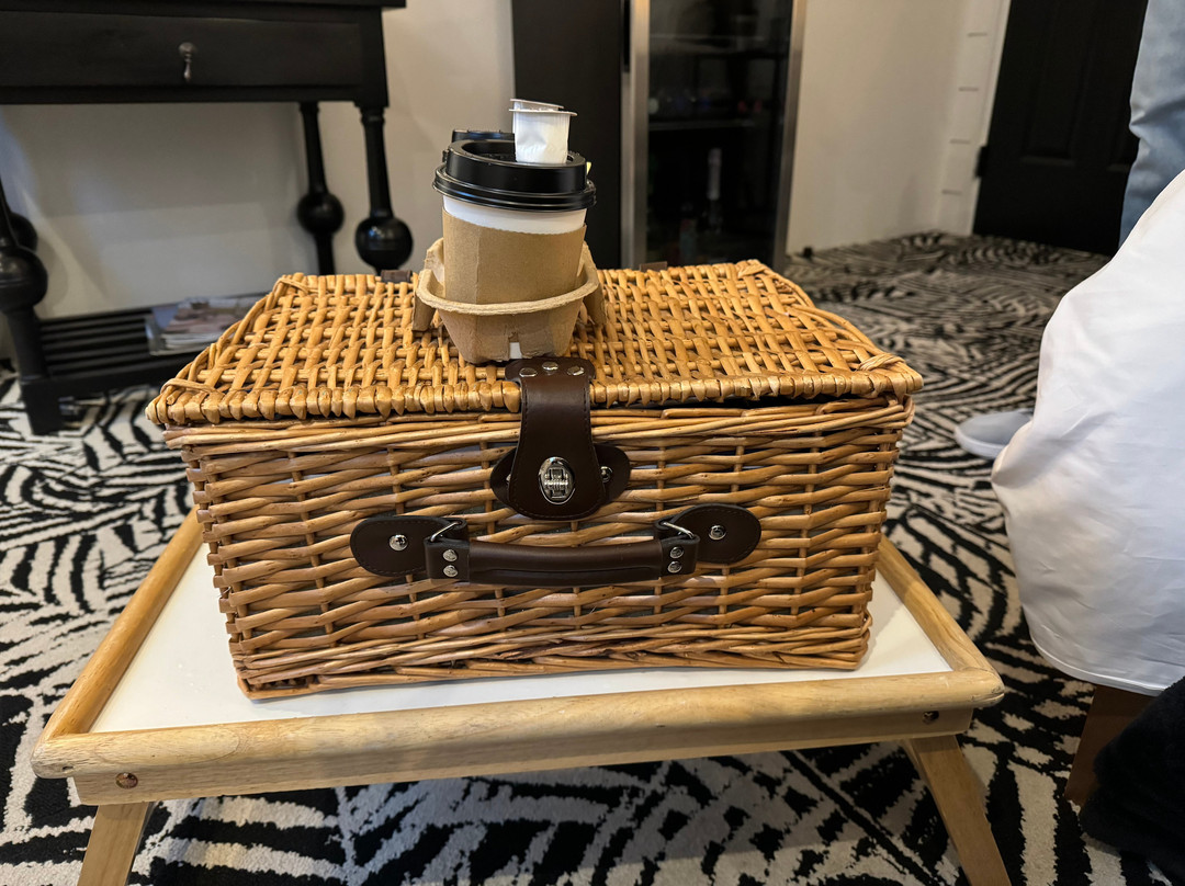 American Beech主图