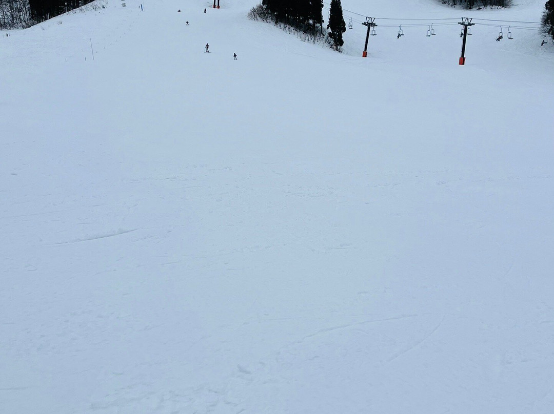 Yuzawa Park Ski Resort景点图片