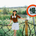 知止蝉