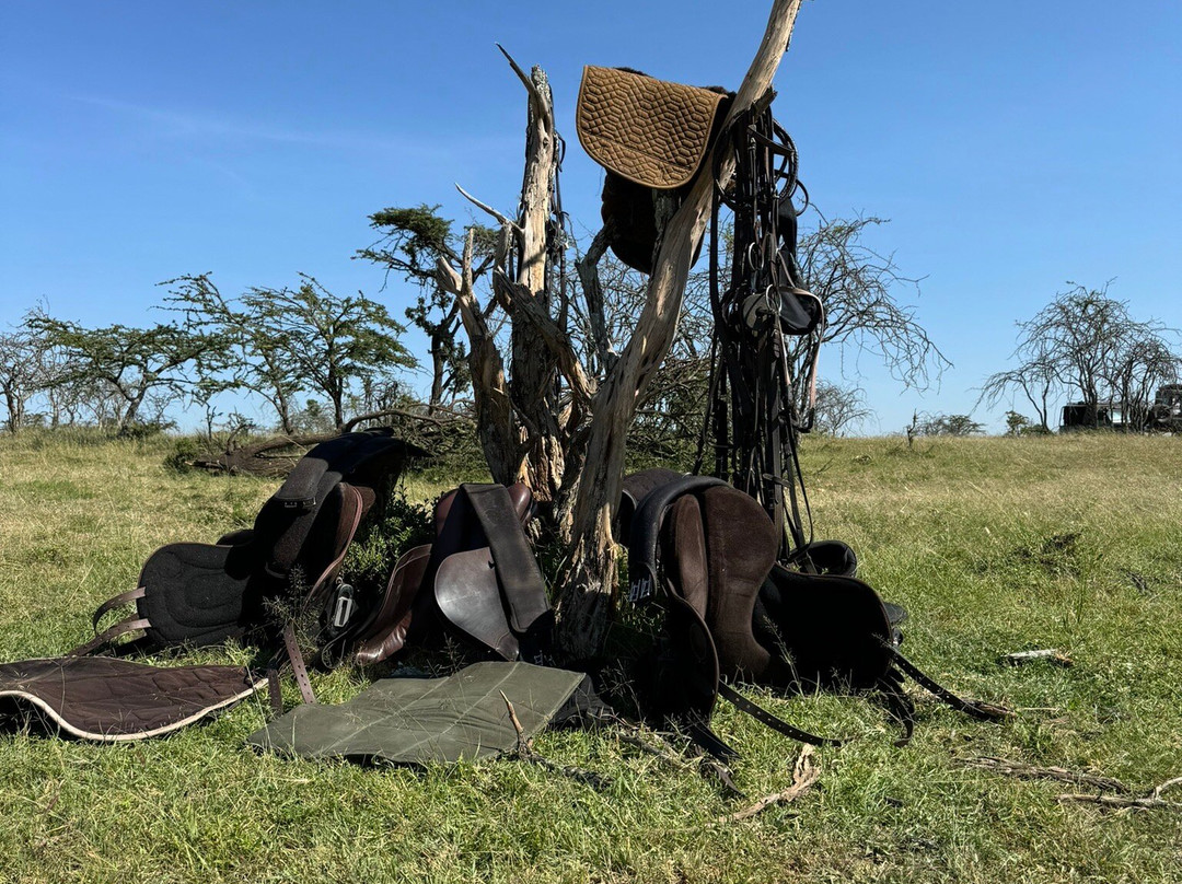 Ride Maasai Mara-Talek必去景点