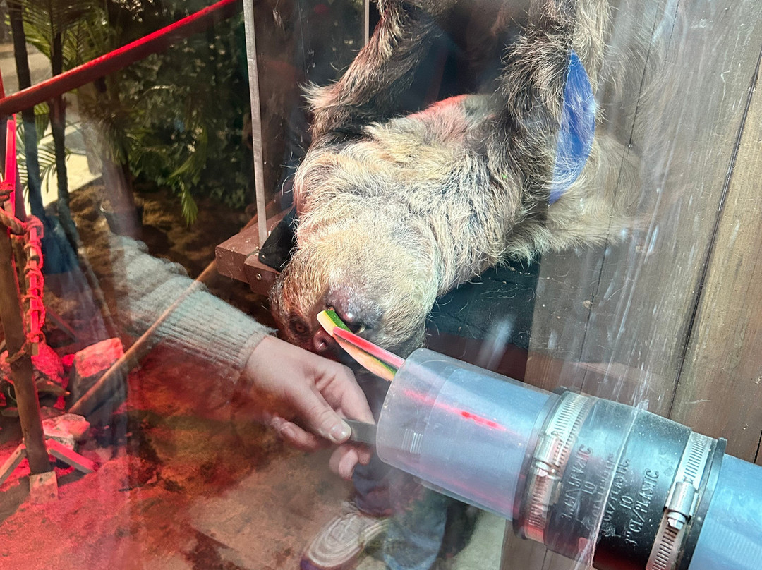 Woodbridge Aquarium & Wildlife景点图片