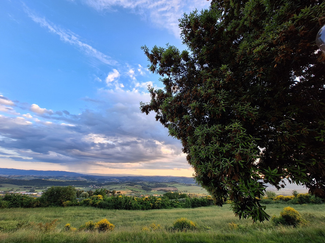 Il Castellaccio主图