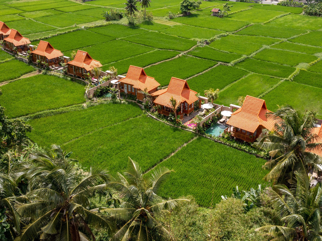 The Kalyana Ubud Resort主图