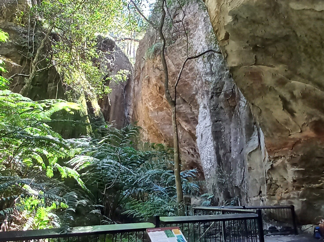 Central Queensland Nature Tours-罗尔斯顿必去景点