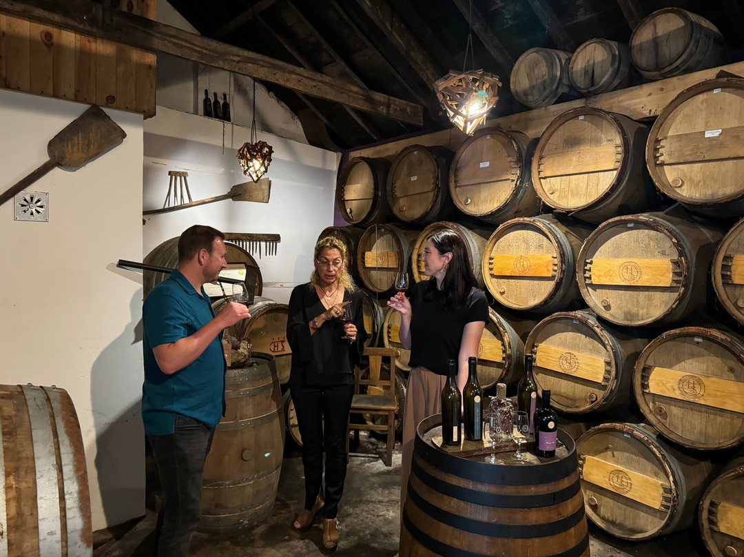 Lisbon on Wheels-里斯本必去景点