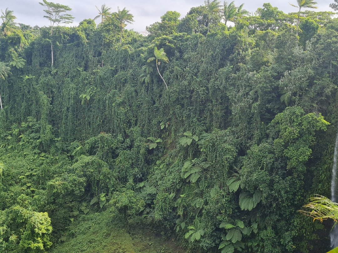 Fuipisia Waterfall-Upolu必去景点