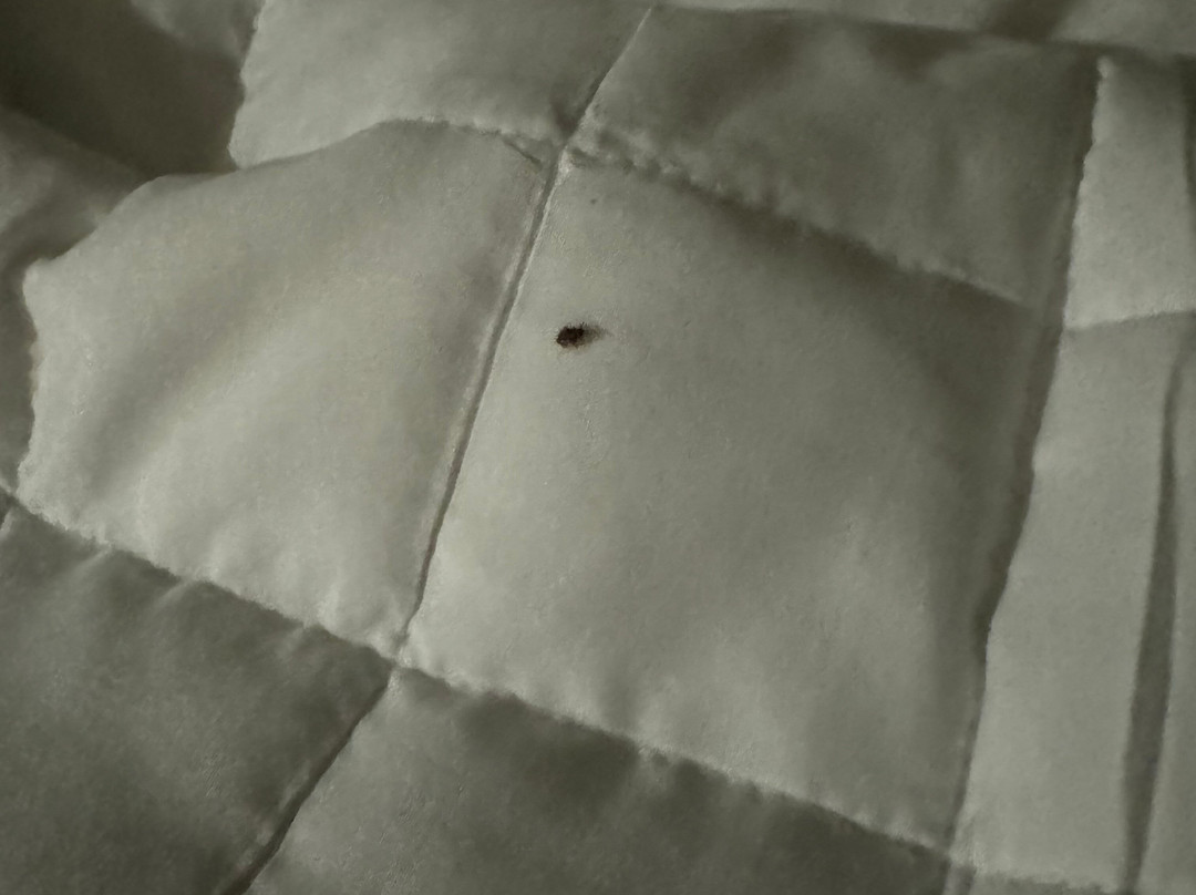 贝斯特韦斯特普勒斯切姆斯福德酒店主图