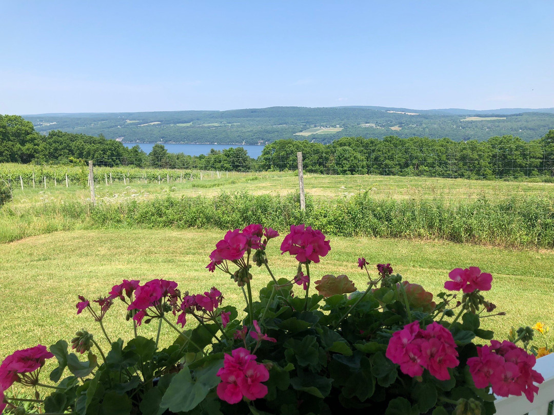 Watkins Glen Lakeside Trolley-沃特金斯格伦必去景点