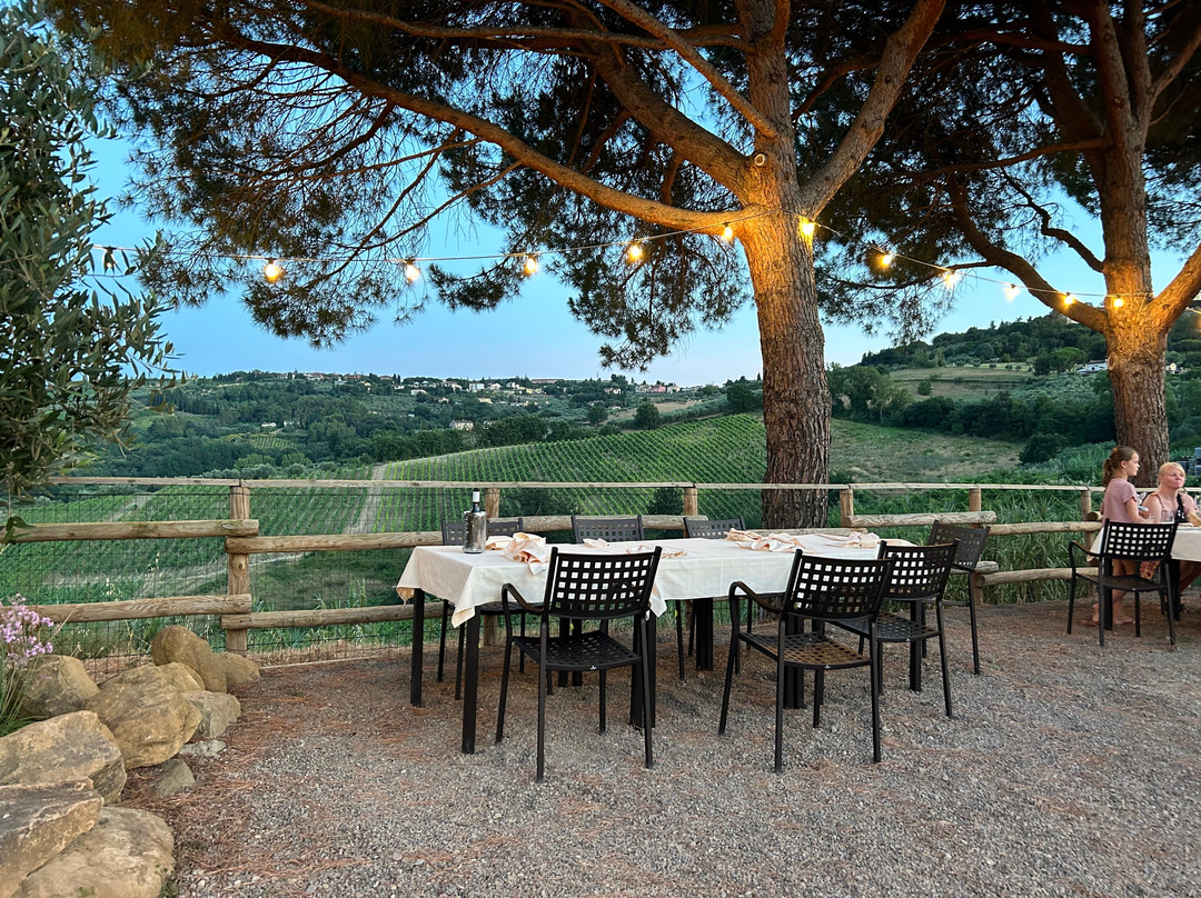Tenuta Moriniello Società Agricola srl-蒙塔约内必去景点
