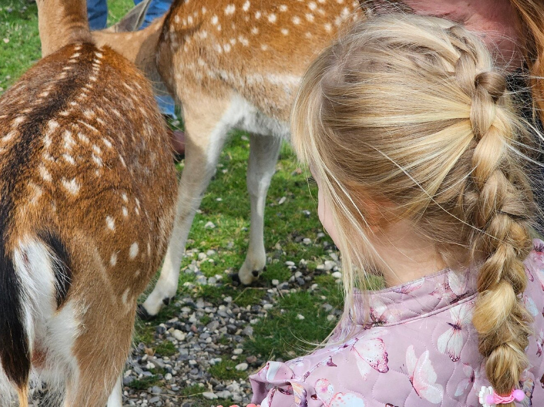 Scandinavian Wildlife Park景点图片