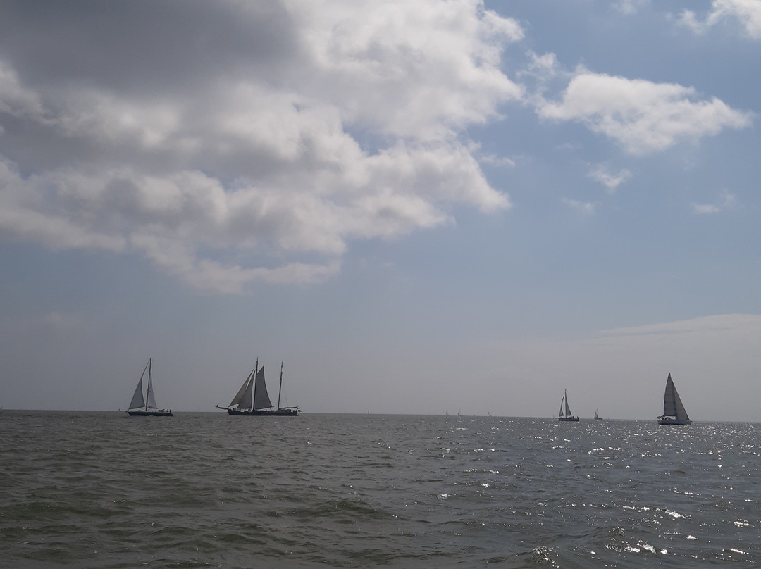 Saila Sailing景点图片