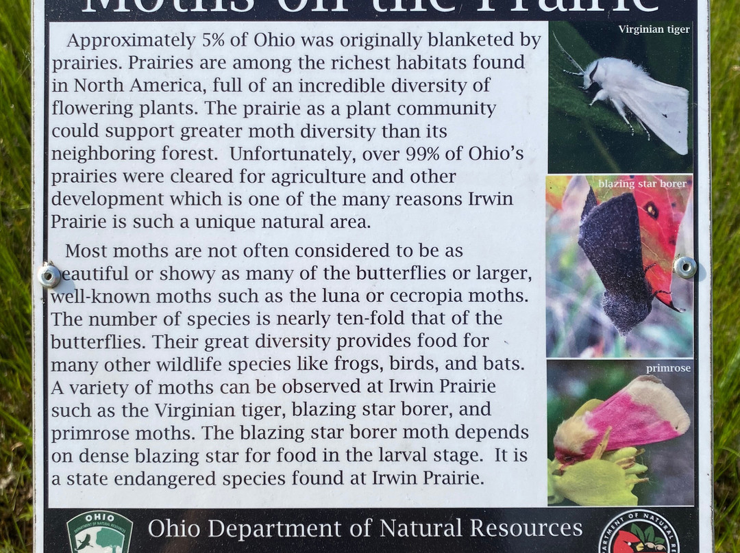 Irwin Prairie State Nature Preserve-托莱多必去景点
