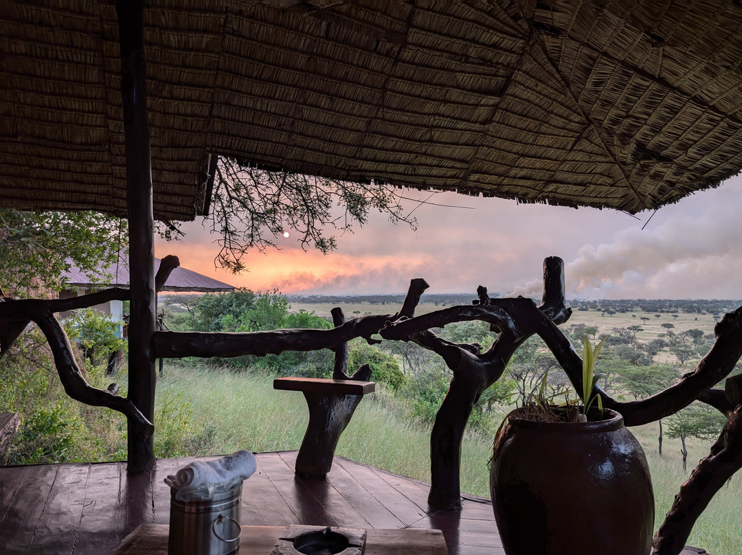 Mbalageti Safari Camp主图