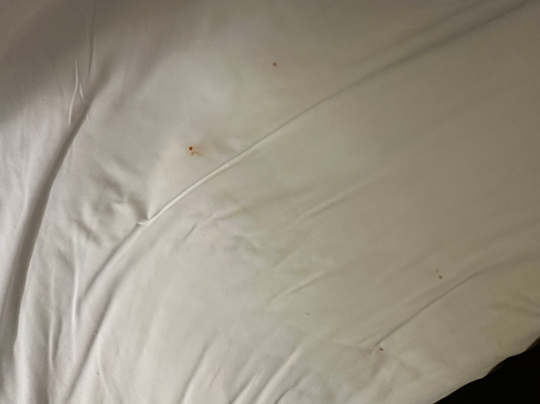 Holiday Inn Indianapolis Airport By IHG主图