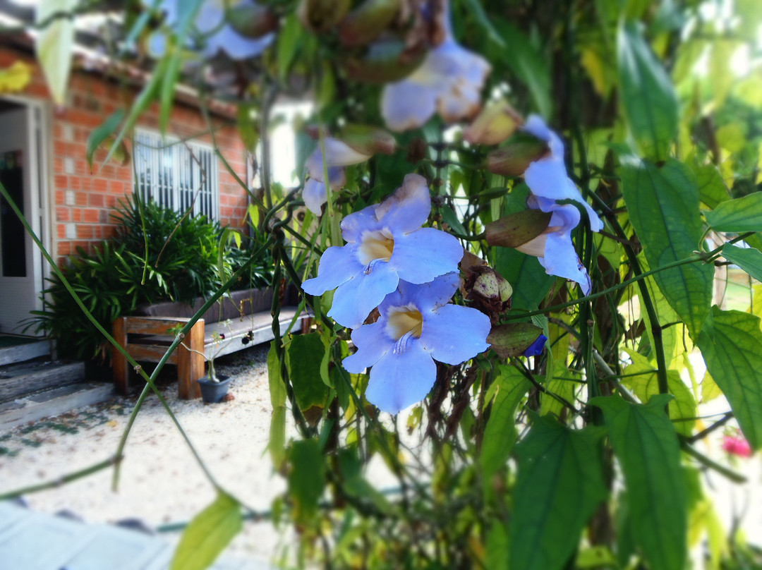 Pousada Baluarte主图